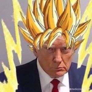 Meet your Posher, Max